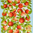 Яблочки (Вафельное полотно 50 см) в Магазине-мастерской ШИТЬЕ в Кемерово на Радуге